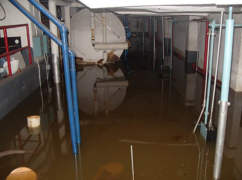 Trump Village #3, Brooklyn, New York